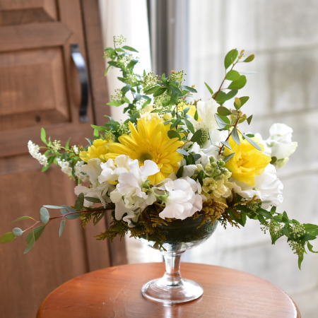 フリースタイル