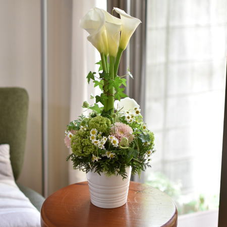 トピアリー型バーティカル