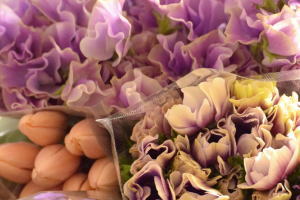 スタジオのご案内